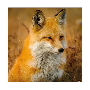 Ambiente Lunch Napkins - 20 Pack