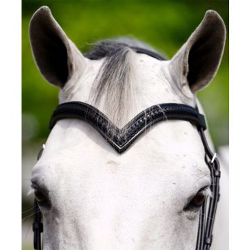 Black Oak V-Shaped Braided Browband