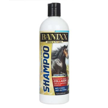 Banixx Shampoo 16oz