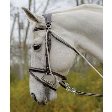 Avignon De Gogue Training Aid