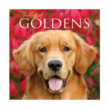 Book: The Gift Of Goldens