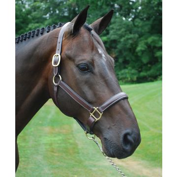 Replacement Halter Crown (Kate/Lainie/Julie)