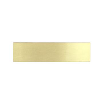 Brass Stall Plate 2" x 8" - Without Holes