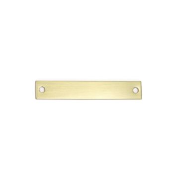 Rectangular Brass Pony Halter Plate