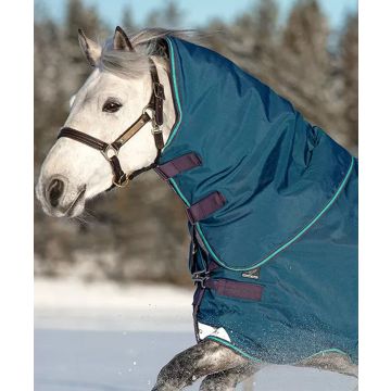 Horseware Rhino Turnout Hood Lite 0g