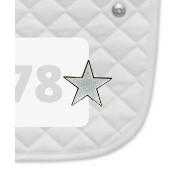 Dubois Cheval Number Pin Charms - 2 Pack