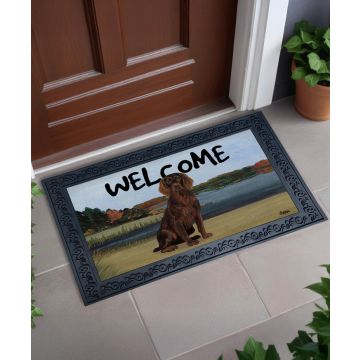 Zeppa Welcome Mat With Tray