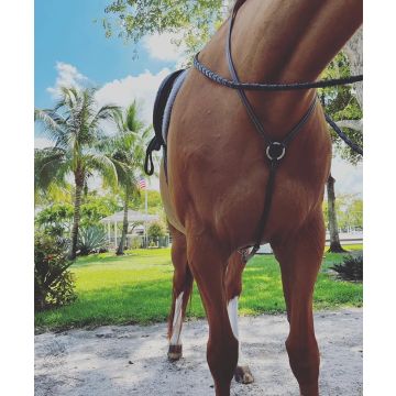 Dzia Sport Equine Yoke