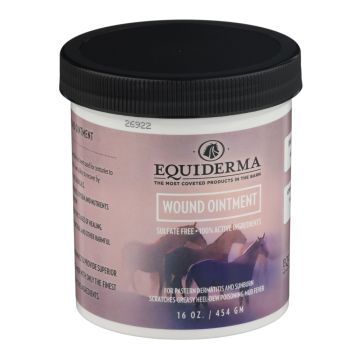 Equiderma Wound Ointment (16 Oz)