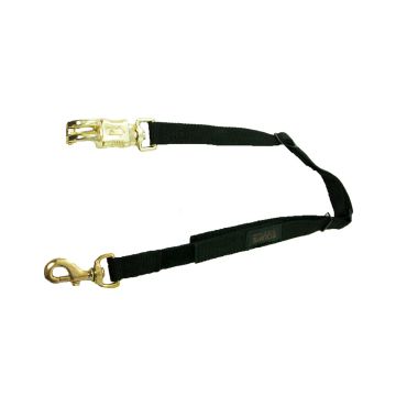 Intrepid Tie Safe Trailer Tie