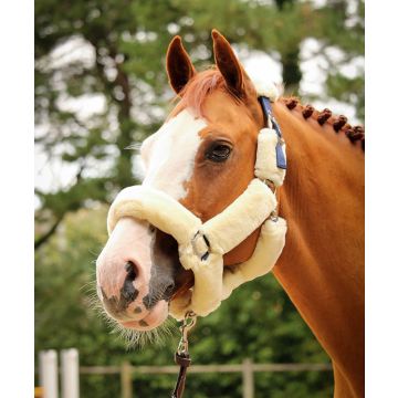 Jump'in One Soft Halter