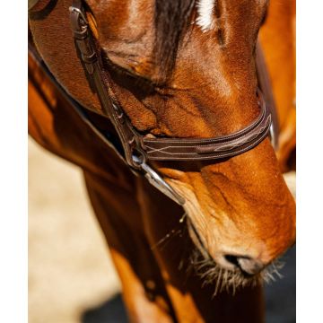 TackHack Extra Wide Hunter Bridle With Laced Reins